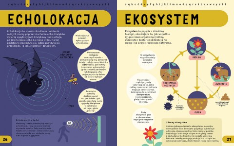STEM ENCYCLOPEDIA wersja polska A-Z elibri 2